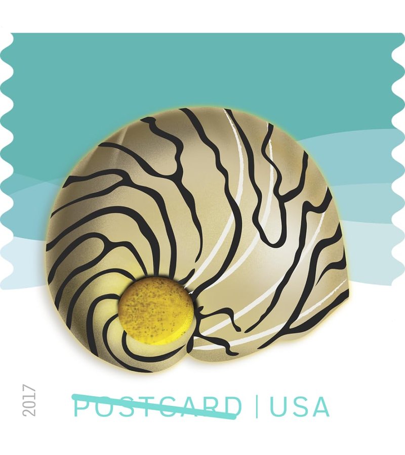 USPS Seashells Postcard Stamps, Sheet of 20