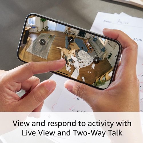 Ring Pan-Tilt Indoor Cam | See all around your home or business with 360° pan coverage, HD video, plus Two-Way Talk (2024 release) | Starlight