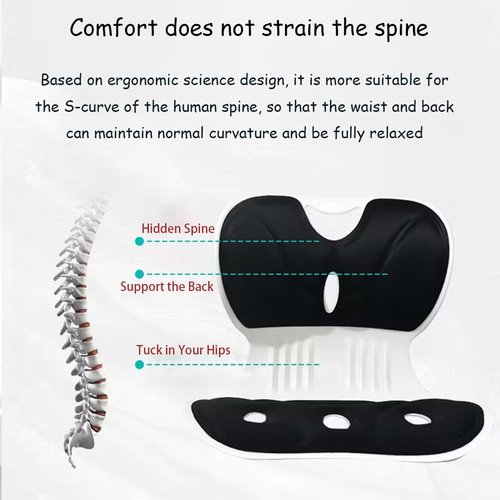 FACIOWN-Ergonomic Chair Back Support, Lumbar Support for Good Posture Correction and Back Pain Relief,Suitable for Office Chair,Car,Reading Chair,Office Chair Waist Support Cushion (Black)