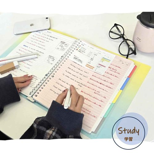 Maruman Loose Leaf Color Binder Session B5 26 Rings and Loose Leaf Paper B5 6mm ruled 50 sheets(L1201) Pack… (Gradation)