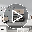 ECOLOVI Black 2-Tier Monitor Stand with Drawer & Pen Holders for Office Desk