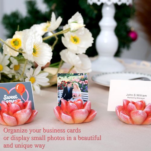 wowhalolo Resin Succulent Business Card Holder Set of 3 - Orange - Cute Desk Organizer and Display Stand for Office, Store - Vertical Name Card Holders - Unique Gift and Decor