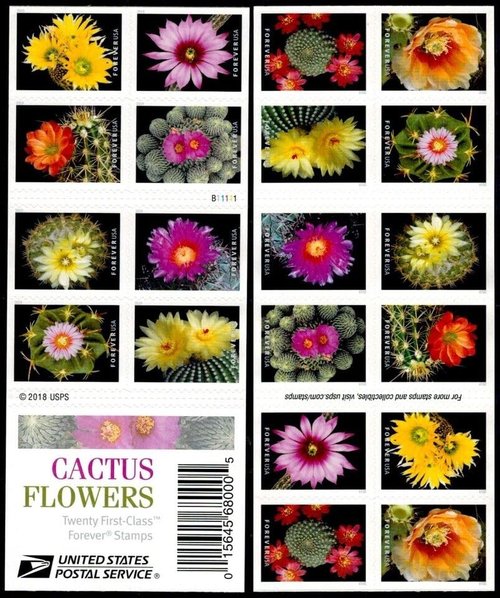 Cactus Flowers Postage Stamps Sheet of 20