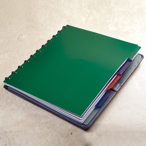Levenger Circa Classic Colors Tab Dividers (Set of 5) Junior (8 Discs) Discbound Notebook dividers in Red, Pine, Clear, Purple and Blue