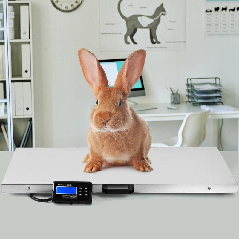 Houseables Dog Scale, Dog Scale for Large Breed, Pet, 440 LB, Livestock, Pet Weight, Animal, Veterinary, Sheep, Goat, Pig, Shipping, Packages, Weighing, Puppy, Vet, Heavy Duty, Digital, 41x21 Platform