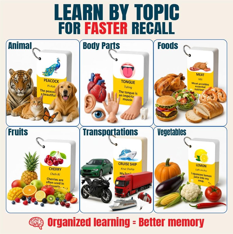 300 Bilingual English Spanish Flash Cards for Adults & Kids Ages 12+ Beginners - Noun Vocabulary with Pictures, Pronunciation, Sentences, Adult Self Study & Learn Spanish Workbooks for Adults