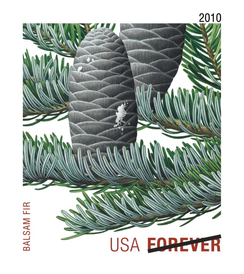 Holiday Evergreen FOREVER Stamps, Pane of 20