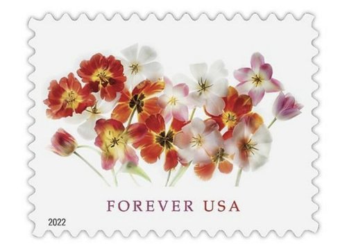 USPS Tulips (2 Sheets of 20) Postage Forever Stamps Beauty Flowers, Garden, Love Wedding Theme 2022 Scott #5681