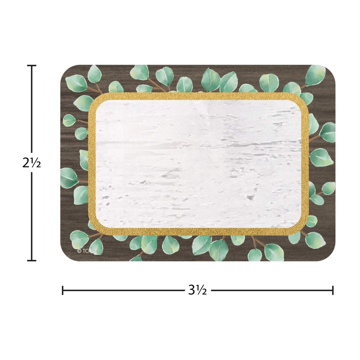 Teacher Created Resources Eucalyptus Name Tags/Labels - Multi-Pack (TCR8692)