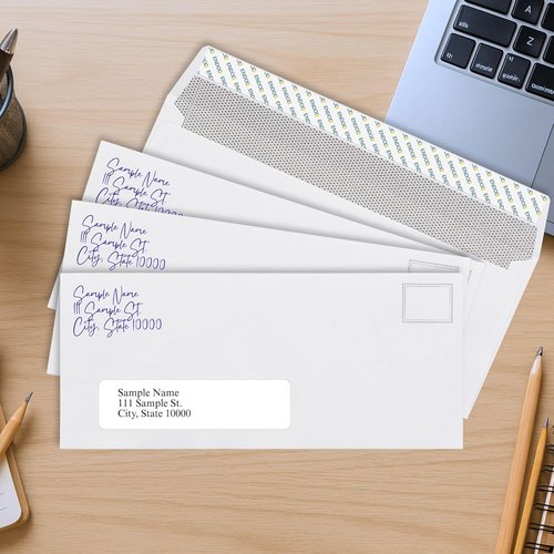 Skiennix #10 Window Envelopes - Self-Seal Security Tinted for QuickBooks Invoices | 80-Pack, 4-1/8 x 9-1/2 Inch