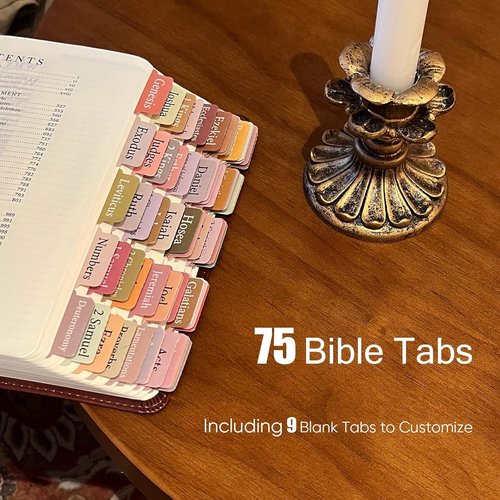 Regine Switzerland Bible Cover Case - Stylish Bible Bag with Journaling Kit & Accessories for All