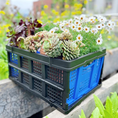 Foldable Plastic Storage Crate – Stackable & Collapsible Basket, 1.73 Cu Ft for Home, Office & Garage