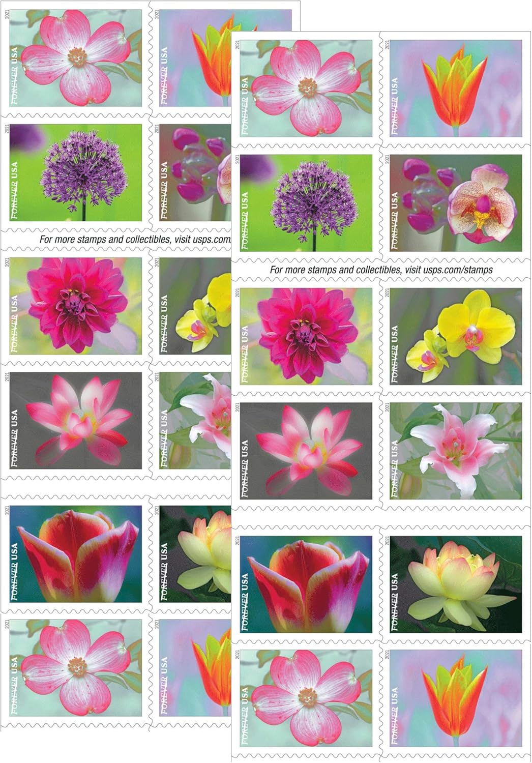 USPS Garden Beauty Forever Postage Stamps - 2 Books of 20 for Wedding Celebrations & Anniversaries