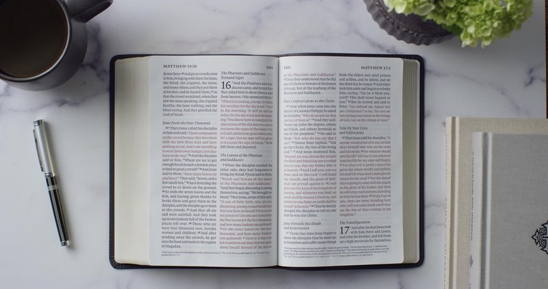 ESV Giant Print Personal Size Bible, Red Letter (Buffalo Leather, Deep Brown): Holy Bible, English Standard Version