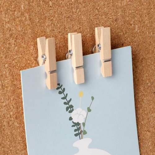 SANNIX 100Pcs Wooden Push Pin Clips with Thumb Tacks for Bulletin Board, Cork Board Decorations, School Office Crafts, Photo Calendar Crafts, Arts Projects, Photo Supplies