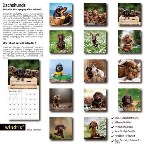 2025 Wall Calendar,Calendar 2025, January 2025 - December 2025, Wall Calendar Dachshund, 12" x 24" Opened,Full Page Months Thick & Sturdy Paper for Gift Perfect Calendar Organizing & Planning