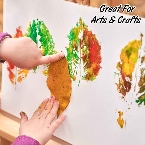 White Poster Paper 11x14 100 Pack Poster Board Bulk School Supplies