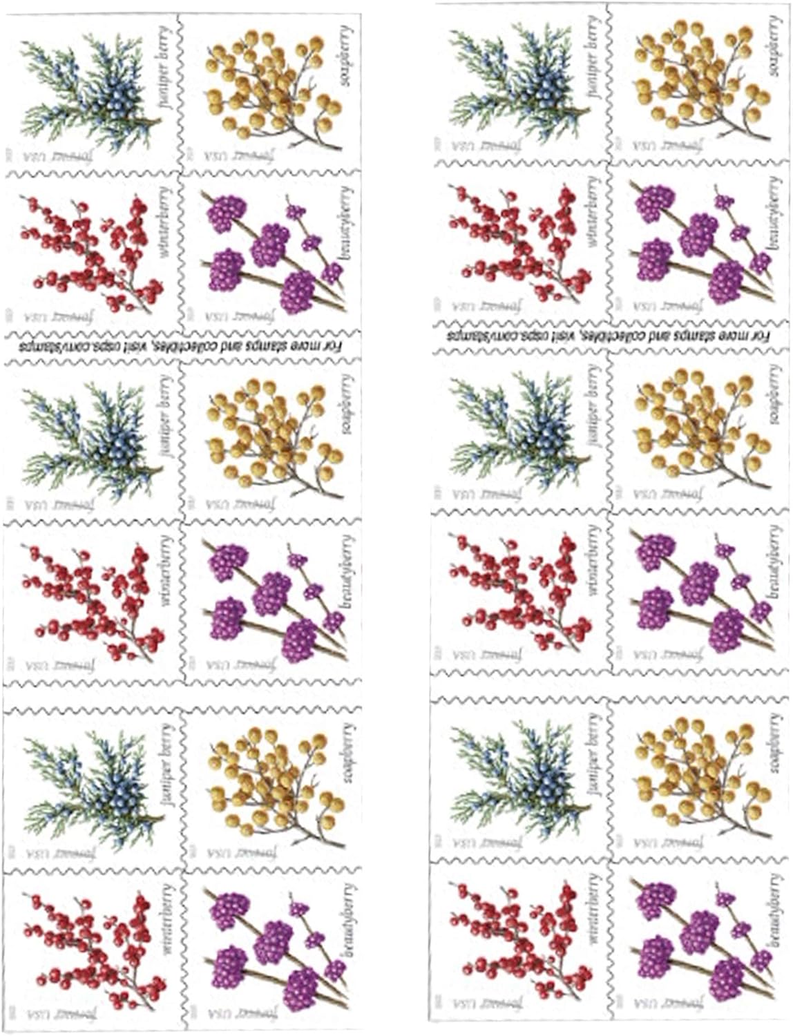 Winter Berries First Class Forever Postage Stamps - 40 Wedding & Engagement Stamps