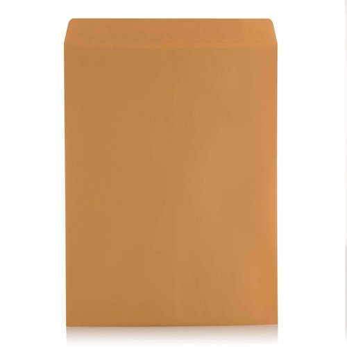 9 X 12 Self-Seal Brown Kraft Catalog Mailing Envelopes - 28lb - 250 Count, 9x12 Inch (38302)