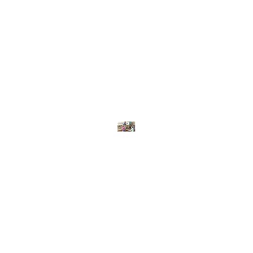 Jonti-Craft 8075JC5 Tub, Clear, Pack of 5