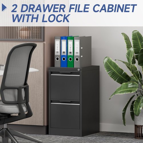 PIYAZEE 2 Drawer File Cabinet with Lock, 17.8" D Small Filing Cabinet for Home Office, Metal Vertical File Cabinets, Deep File Cabinets for Legal/Letter Size File, Easy Assembly