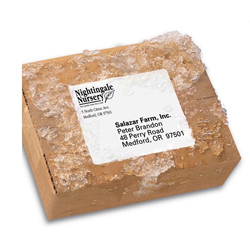 Avery Waterproof Printable Shipping Labels with Sure Feed, 3-1/3" x 4", White, 300 Blank Mailing Labels (5524)