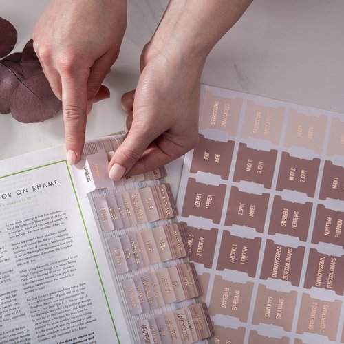 DiverseBee Laminated Bible Tabs (Rose Gold Embossed Lettering), Bible Journaling Supplies, Bible Book Tabs, Christian Gift, 73 Bible Tabs for Women and Men, Includes 4 Blank Tabs (Pearl)
