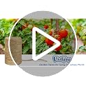 Vivifying Jute Twine 328 ft, 3mm (Brown) Garden Knot String for Tomatoes, Climbing Plants & Gift Wrapping - 1pc