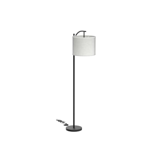 DLLT Modern Arc Floor Lamp, Farmhouse Standing Floor Lamps with Lantern Lampshade, Industrial Tall Reading Light for Bedroom Living Room Office Study, 3 Color Temperatures, Black, 8W Bulb Included