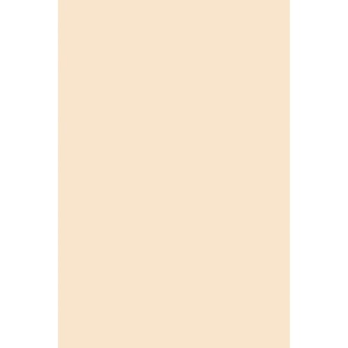 Pacon 5184 Medium Weight Tagboard 12 x 18 Inches Manila 100 Sheets