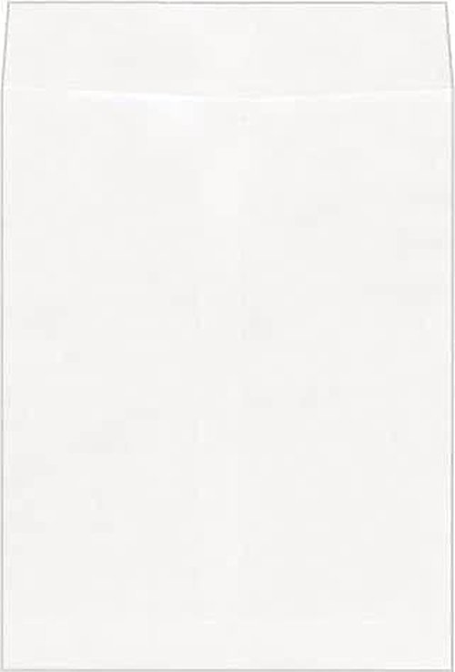 Universal Tyvek Envelope, 10"x13", White, Case Pack of 100 (19007)