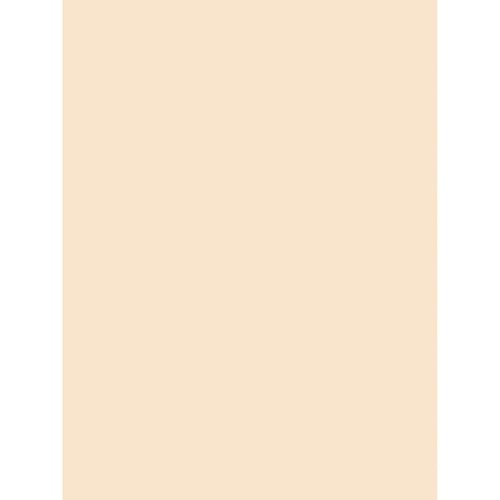 Pacon Tagboard Manila 9x12 Inch Medium Weight Recyclable 100 Sheets