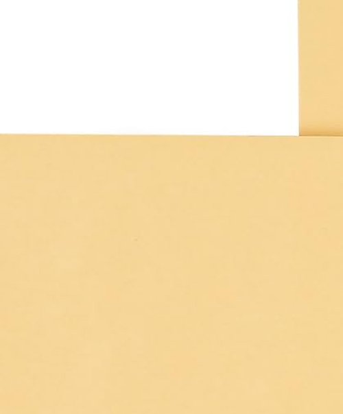 Staples 534818 Self Seal Catalog Envelopes 10-Inch L X 13-Inch H Brown 100/Bx (534818/19022)