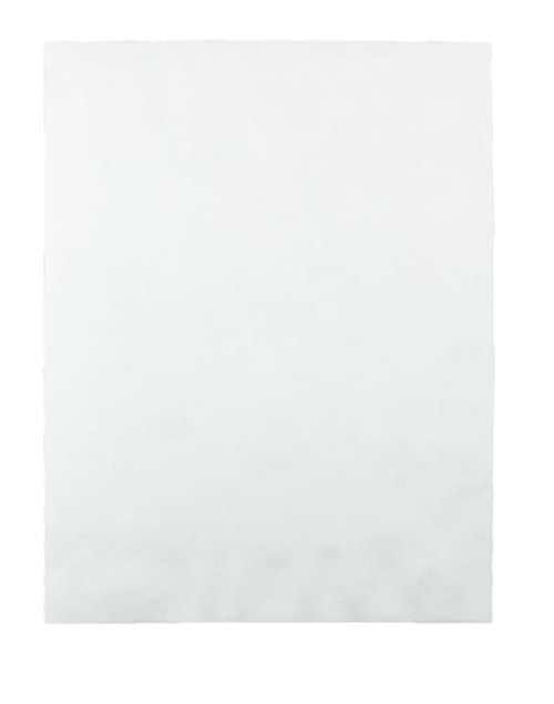 Quality Park Survivor Shipping Envelopes, 10" x 13", Made with Strong, Lightweight DuPont Tyvek Material, Flap-Stik Peel and Seal Closure, 50/Box (QUAR1582)