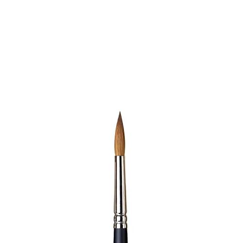 Winsor & Newton Professional Watercolour Sable Brush, Round #8