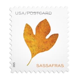 United States Postal Service Vibrant Leaves Postcard Stamps - Sheet of 20 Non-denominated USPS Postage