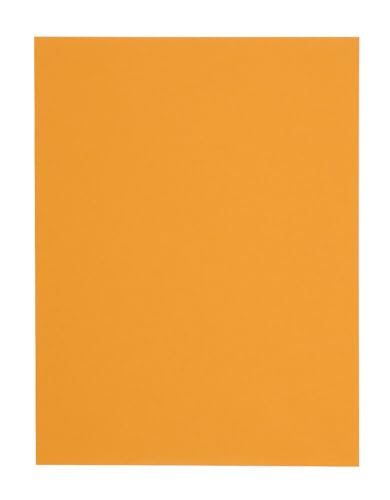 10 x 13 Self Seal Catalog Envelopes - Heavyweight Brown Kraft Mailing & Storage