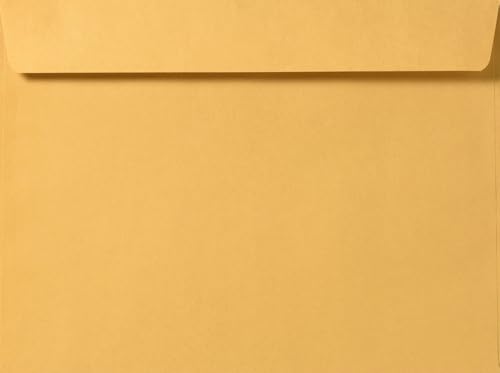50 Pack LUXPaper 10x15 Brown Kraft Booklet Envelopes for Business & Mailing - 28lb