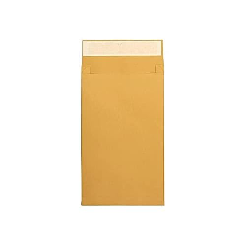 Quality Park Large Format/Catalog Envelopes, Redi-Strip, Kraft, 10 x 15, 25 per Box, (QUA93338),Light Brown