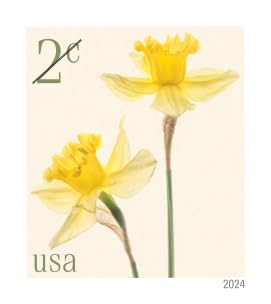 USPS Daffodils 2024 2-Cent Definitive Postage Stamps - 20 Sheet