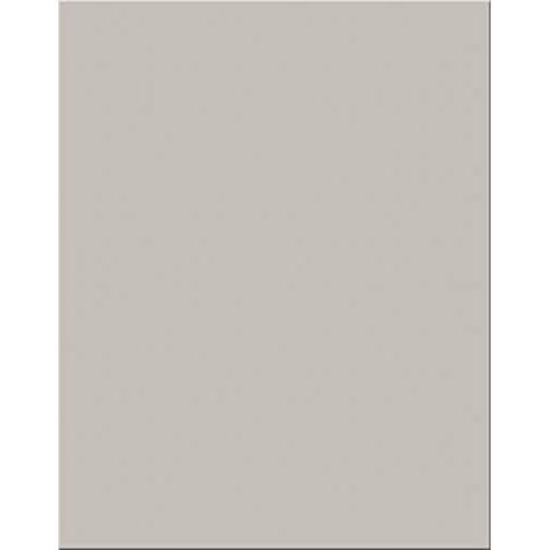 Pacon 18-Point Heavy Coated Poster Board, 22" by 28", Gray, 25-Sheets (5376-1)