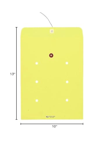 Colored Paper String & Button Interoffice Envelope - 100 Pack