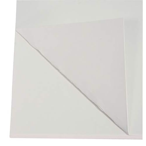 School Smart Railroad Poster Board Paper, 22 x 28 Inches, 6-Ply, White, Pack of 25