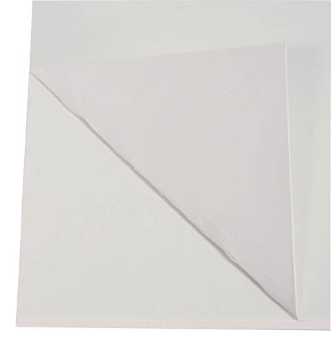 School Smart Railroad Poster Board Paper White 6-Ply Pack of 25, 22 x 28 Inches