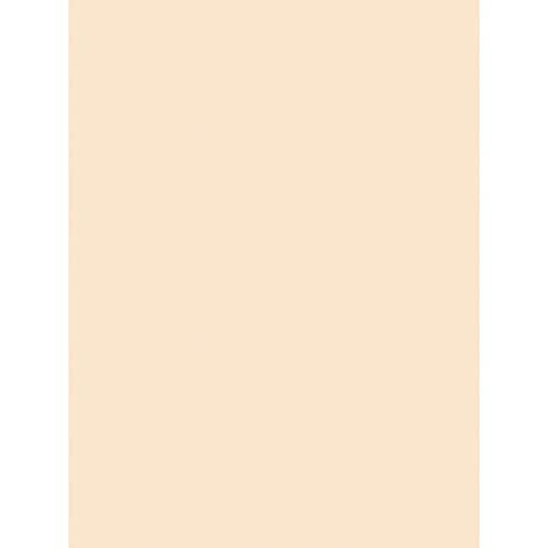 Pacon Tagboard Manila 9x12 Inch Medium Weight Recyclable 100 Sheets