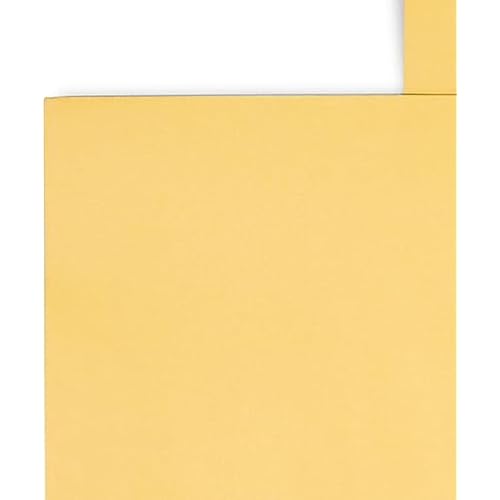 Staples 534768 Gummed Catalog Envelopes 10-Inch L X 15-Inch H Brown 100/Box (Spl534768)