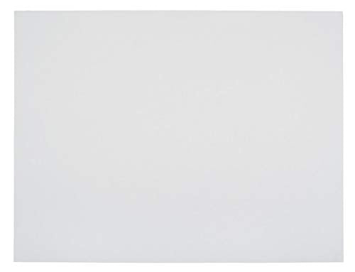 School Smart Railroad Poster Board Paper White 6-Ply Pack of 25, 22 x 28 Inches