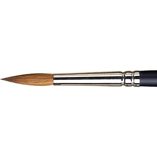 Winsor & Newton Professional Watercolour Sable Brush, Round #8