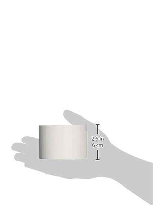CompuLabel Direct Thermal Labels, 2 1/4 x 1 1/4 Inch, White, Roll, Permanent Adhesive, Perforations Between Labels, 1000 per Roll,12 Rolls per Carton (530594)