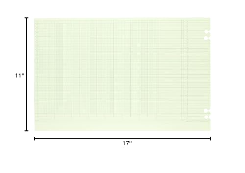 Wilson Jones Green Columnar Sheets, Single Page Format, 14 Columns, 36 Lines Per Page, 11" X 17", 100/Pack, WG50-14B